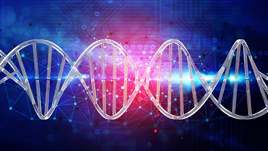 L’IMPACT DU CANCER SUR LES CHANCES ULTÉRIEURES DE GROSSESSE : UNE ANALYSE BASÉE SUR LA POPULATION