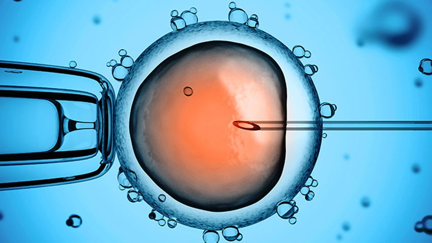 ICSI does not increase the cumulative live birth rate in non-male factor infertility